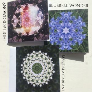 Snowdrop Light, Bluebell Wonder & Mandala Garland Greeting Cards 10x10cm