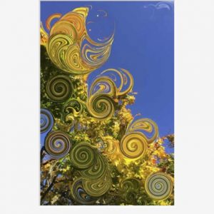 Autumn Series III - Fine Art Archival Print - Arriving November 2025