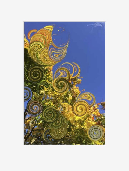 Autumn Series III - Fine Art Archival Print - Arriving November 2025