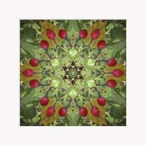 Winter Solstice 8x8" mounted Fine Art Print-6x6" image. Arriving November 2025