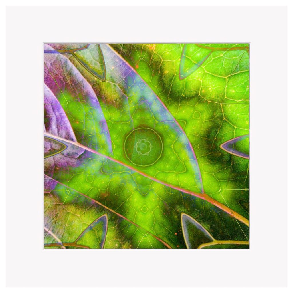 Chlorophyll Highways - 8x8" Fine Art Mounted Print