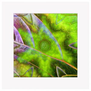 Chlorophyll Highways - 8x8" Fine Art Mounted Print