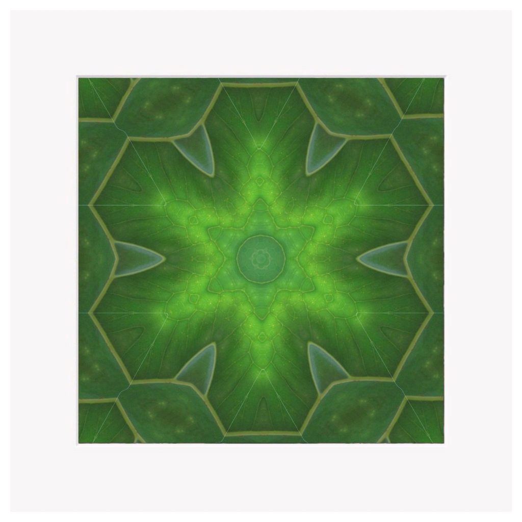 Enter the Heart - 8x8" Fine Art Mounted Print