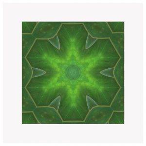 Enter the Heart - 8x8" Fine Art Mounted Print